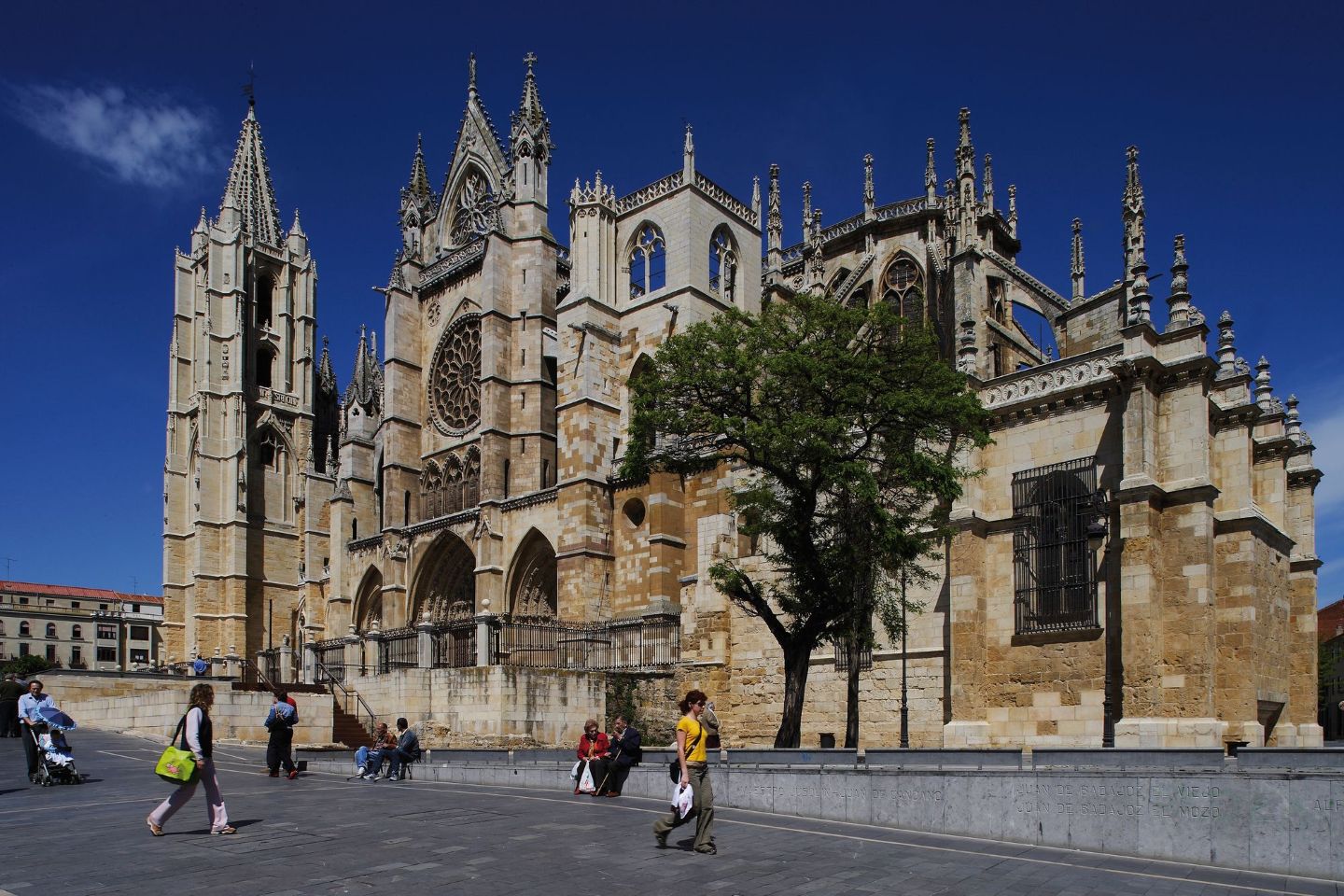 catedral León