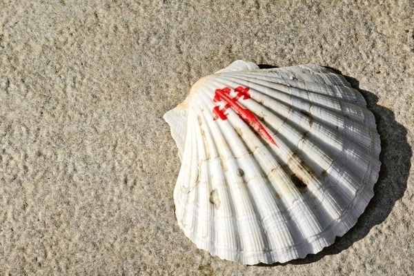 el Camino de Santiago